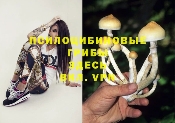 синтетический гашиш Алексин