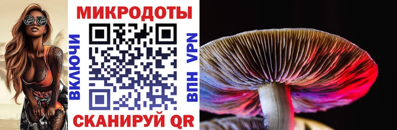 Галлюциногенные грибы Magic Shrooms  что такое   Южно-Сухокумск 