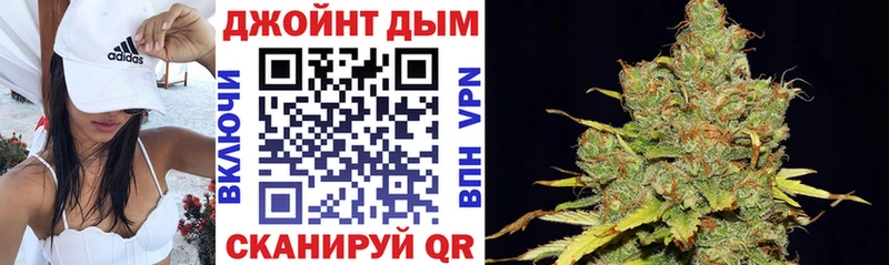 Бошки Шишки планчик Южно-Сухокумск