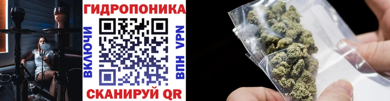 как найти наркотики  Южно-Сухокумск  hydra сайт  Канабис MAZAR 